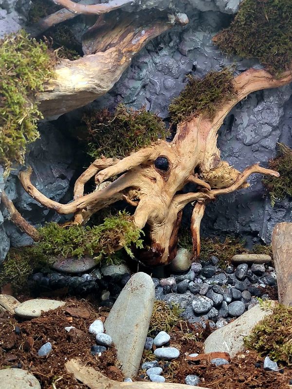 L'albero sospeso