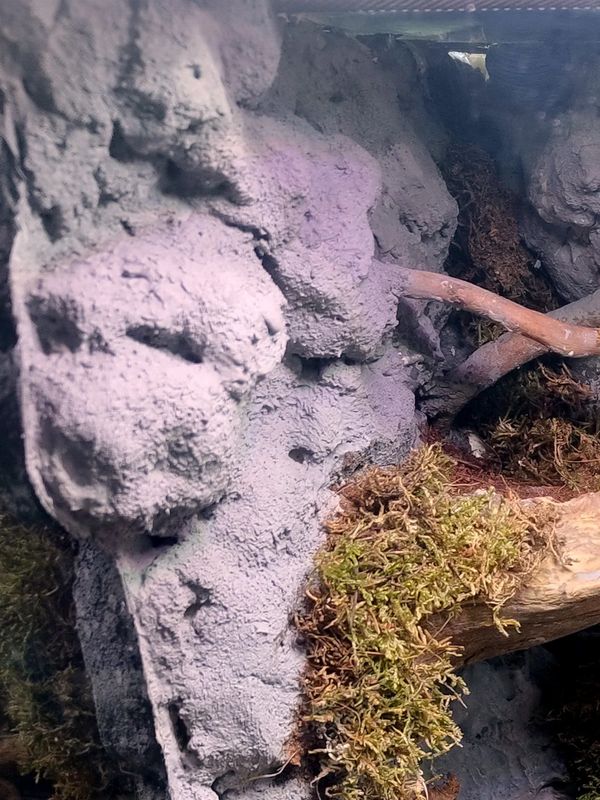 Roccia scolpita a mano